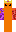 skin of a player