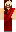skin of a player