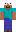 skin of a player