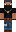skin of a player