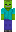 skin of a player