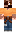 skin of a player