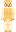 skin of a player