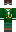 skin of a player