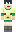 skin of a player