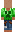 skin of a player