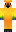 skin of a player