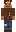 skin of a player