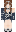 skin of a player