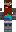 skin of a player