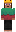 skin of a player
