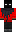 skin of a player