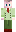 skin of a player