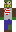skin of a player