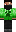 skin of a player