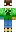 skin of a player
