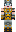 skin of a player