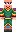 skin of a player