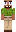 skin of a player