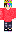 skin of a player