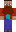 skin of a player