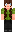 skin of a player