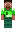 skin of a player