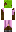 skin of a player