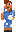 skin of a player