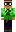 skin of a player