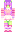 skin of a player