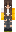 skin of a player
