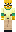 skin of a player