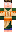 skin of a player