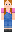skin of a player