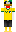 skin of a player