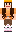 skin of a player