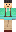 skin of a player