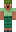 skin of a player