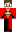 skin of a player