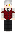 skin of a player