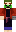 skin of a player