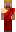 skin of a player