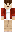 skin of a player
