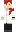 skin of a player