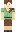 skin of a player