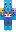 skin of a player