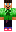 skin of a player