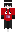 skin of a player