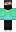 skin of a player